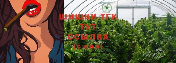 спиды Семёнов