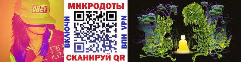 Псилоцибиновые грибы Psilocybine cubensis Закаменск