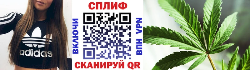 Конопля Ganja Закаменск